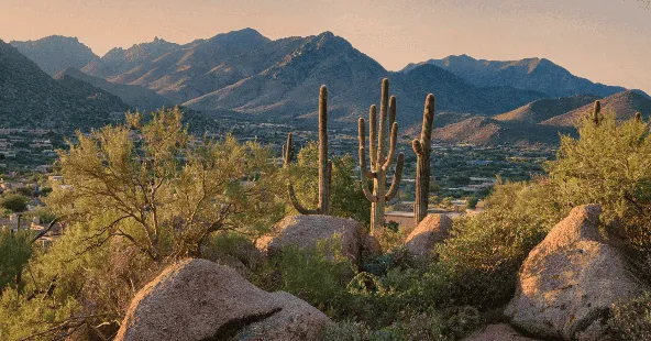 Established Two-Location Orthodontic Practice for Sale in Phoenix, AZ
