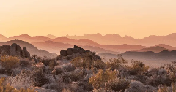 High-volume Tempe general dental practice with growth potential