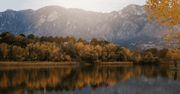 Thriving Colorado Springs General Practice, 6 Ops, Strong Cash Flow