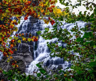 Thriving General Practice in Ithaca, Finger Lakes — Great Lifestyle