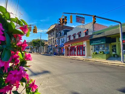 Port Washington 4 Op Office