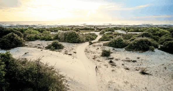 Coastal Outer Banks OMS Practice with two locations and strong revenue