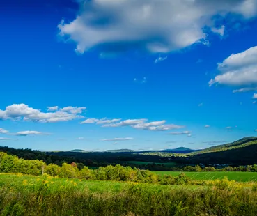 NY
