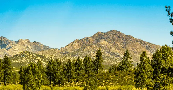 Established General Practice, 45 New Patients/Month, Inland Empire