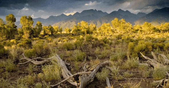 Established 40-Year General Practice with 5,000 Patients in Southern Colorado