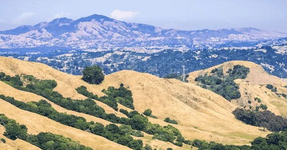 Highly Profitable Two-Location Orthodontic Practice in East Bay Area