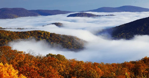 Established Central Virginia Oral Surgery Practice, 9 Ops, 4-Day Week