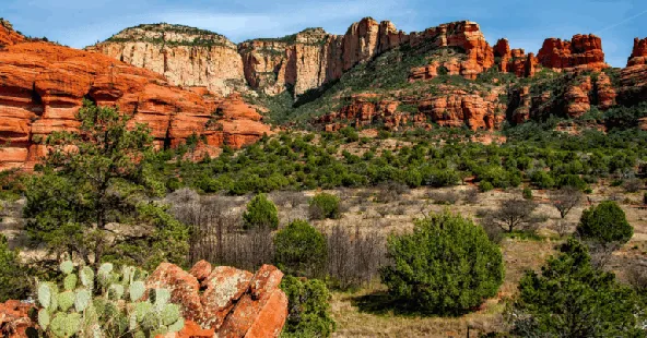 Thriving West Texas dental practice with 1M revenue
