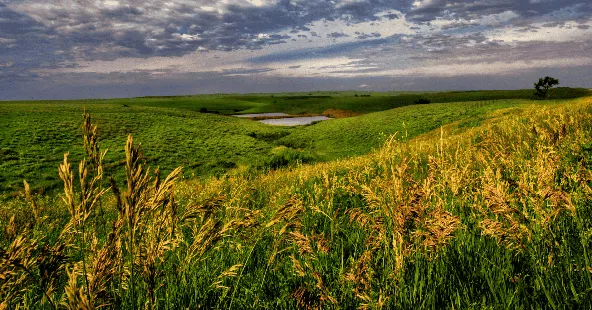 Central Kansas General Dental Practice: Established, Profitable, 3,000+ Patients