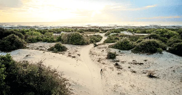 Established Coastal OMS Practice for Sale on North Carolina's Outer Banks