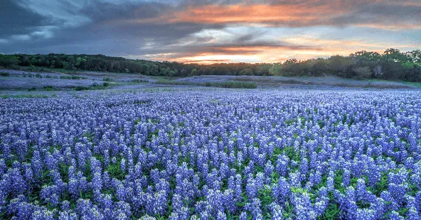Three-Location General Practice, 27 Ops, $5.87M Collections, Central Texas