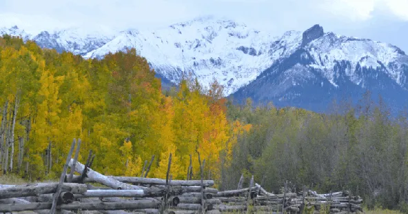 Thriving Colorado mountain town dental practice for sale
