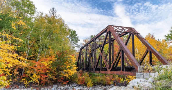 Profitable NH Dental Practice in White Mountains