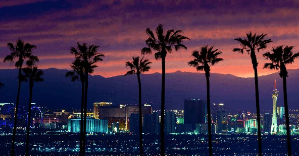 8-Location Las Vegas Orthodontic Practice Seeking Strategic Partner