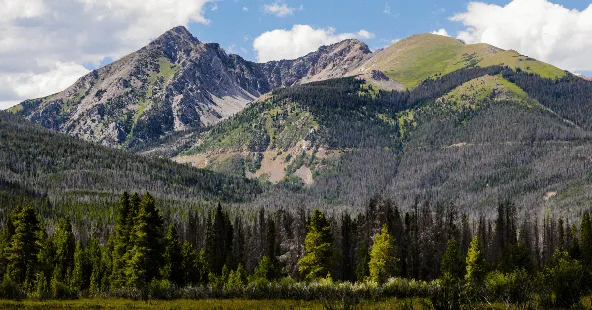 High-Performing Multi-Location General Practice in Northwest Colorado