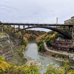 Turnkey General Dentistry Practice in Rochester with strong cash flow.