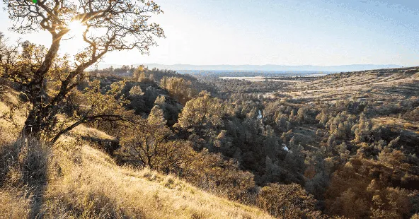 40-Year Established General Practice in Thriving Chico, CA