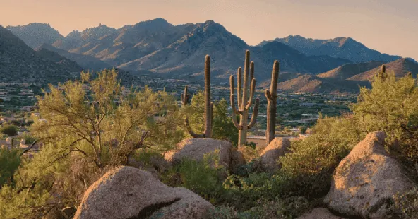 Orthodontic Practice for Sale in Phoenix — Two Locations, Solid EBITDA