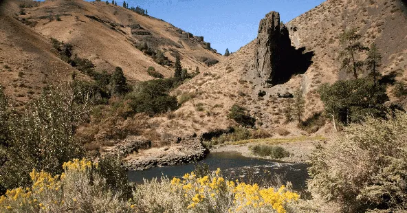 Two-Location General Practice Seeking Partner Near Yakima & Tri-Cities