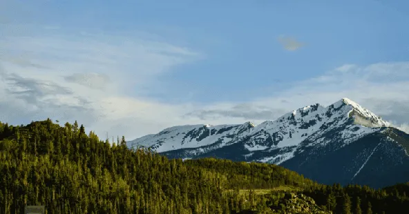 Denver multi-location general dental practice with growth potential