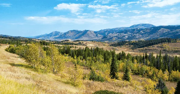 Multi-Location General Practice, 13 Ops, $4.8M Collections, Mountain West