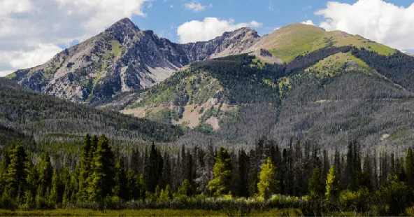 High-performing Northwest Colorado dental practice for sale